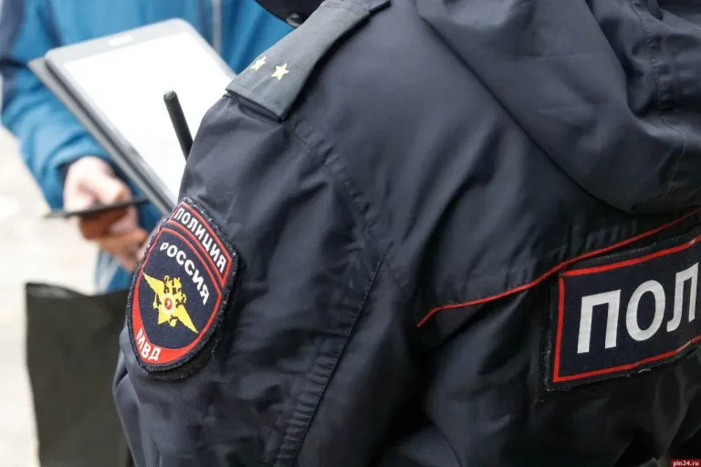 Полиция Пскова проверила жалобу на шум в доме на Крестки