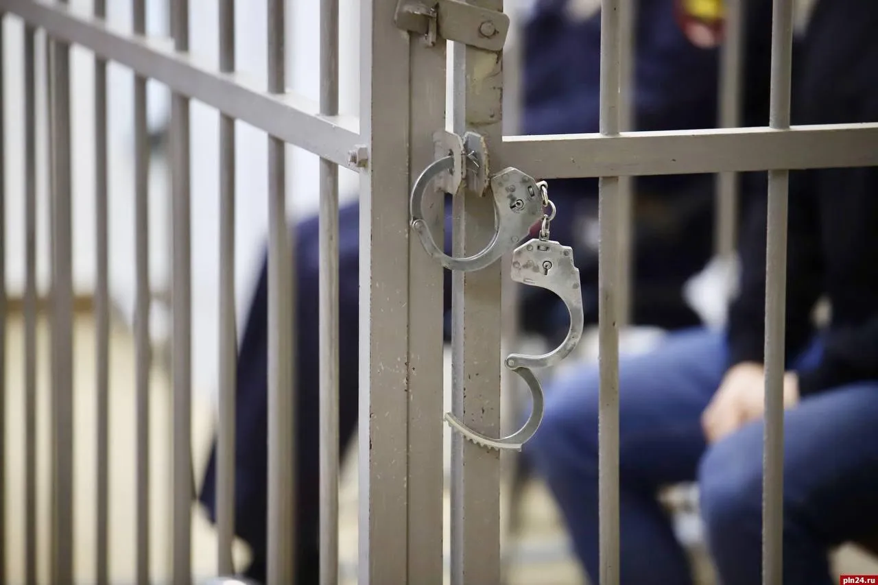 В Великих Луках задержали подозреваемого в кражах колонок и кофе