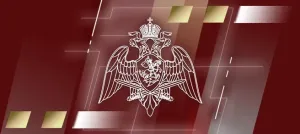 В Псковской области изъяли 20 единиц оружия