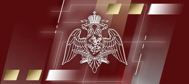 В Псковской области изъяли 20 единиц оружия