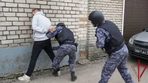 Росгвардия задержала подозреваемых в кражах из магазинов в Пскове и Себеже