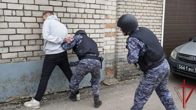 Росгвардия задержала подозреваемых в кражах из магазинов в Пскове и Себеже