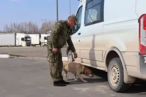 Таможня оформила 69 тысяч вагонов на границе Псковской области